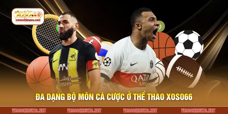 Đa dạng bộ môn cá cược ở thể thao XOSO66