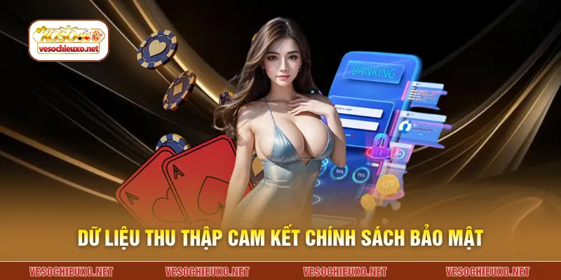 Dữ liệu thu thập cam kết chính sách bảo mật