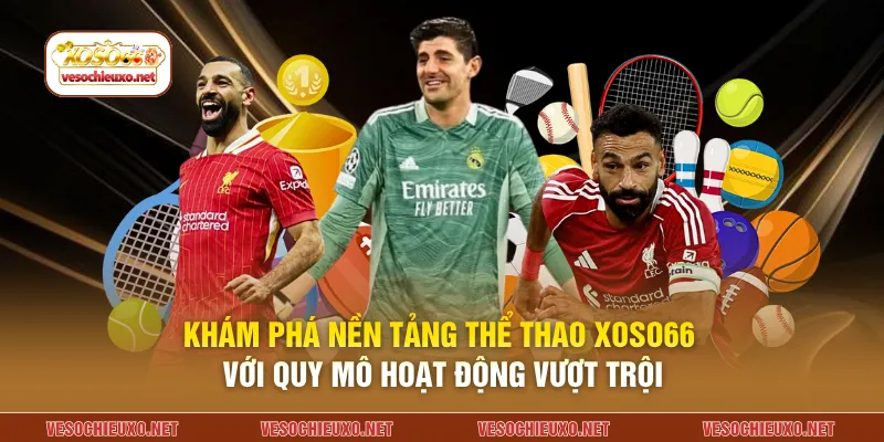 Khám phá nền tảng thể thao XOSO66 với quy mô hoạt động vượt trội
